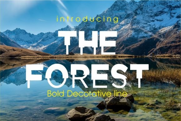 The Forest: A Bold Display Typeface for High-Impact Campaigns